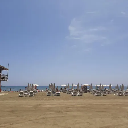 Happy Tucan * Ларнака