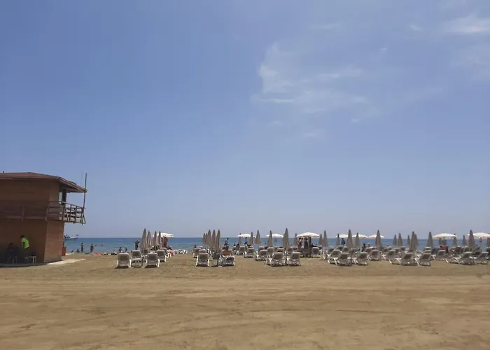 Happy Tucan * Larnaca